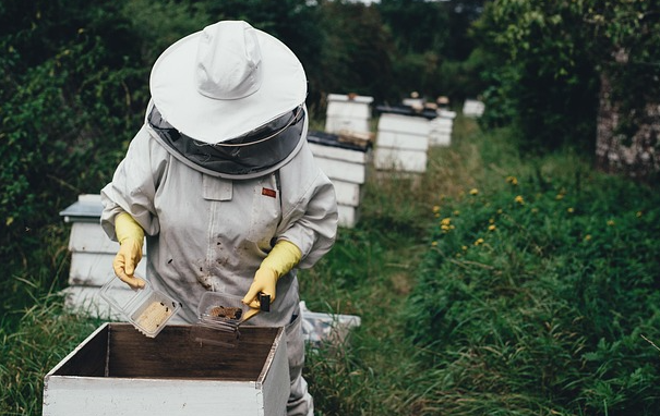Geohoney in 2050: Innovation and Sustainability Meet Tradition