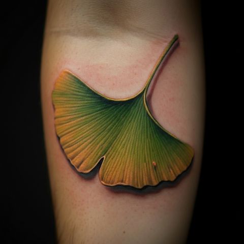 Realistic Ginkgo Leaf Tattoo