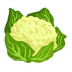 Cauliflower