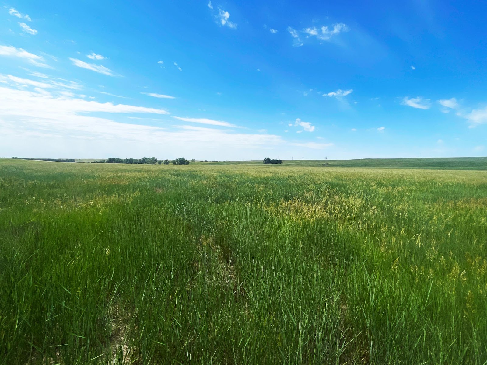 What to Look For When Buying Land: Your Guide to Finding the Perfect Plot | Lashley Land and Recreational Brokers