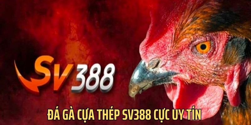 Sv338 là thương hiệu cá cược cực uy tín