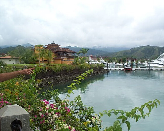 Marina Los Sueños with clear water and green vegetation.