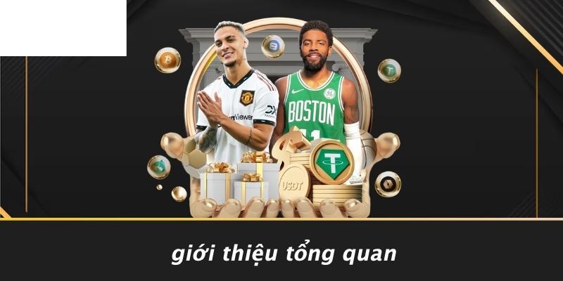 Giới Thiệu Tổng Quan