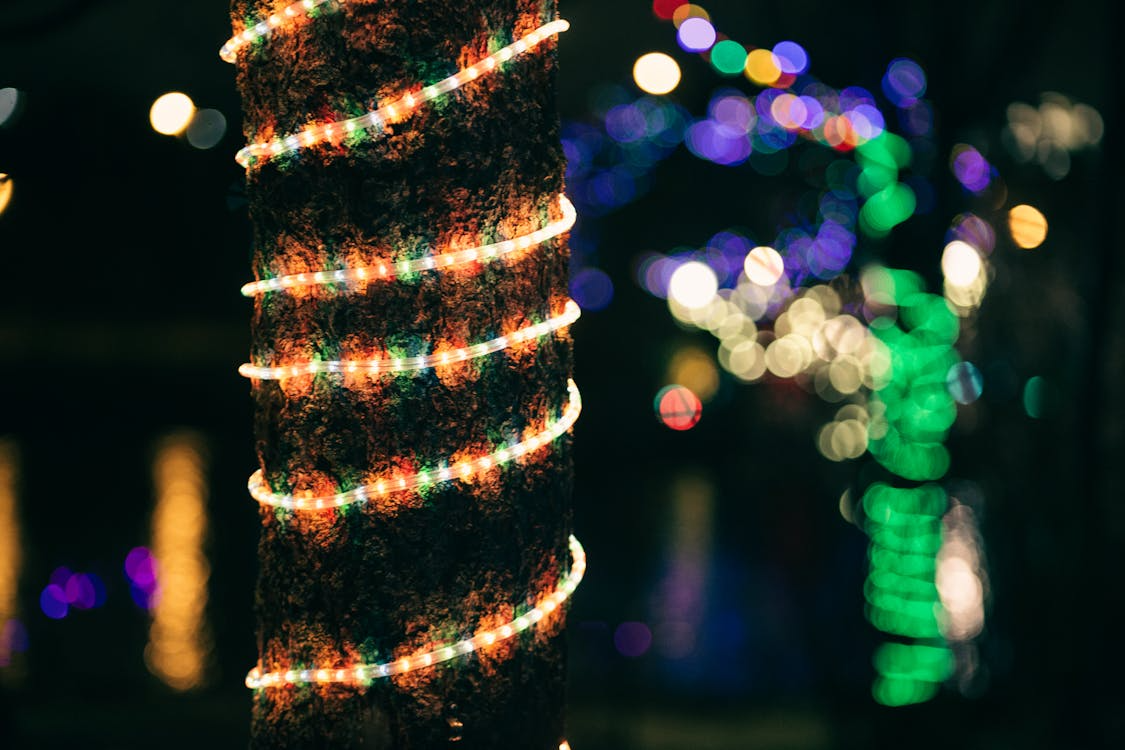 Close-up of a tree trunk wrapped in multicolored Christmas lights, with blurred holiday lights glowing in the background at night.