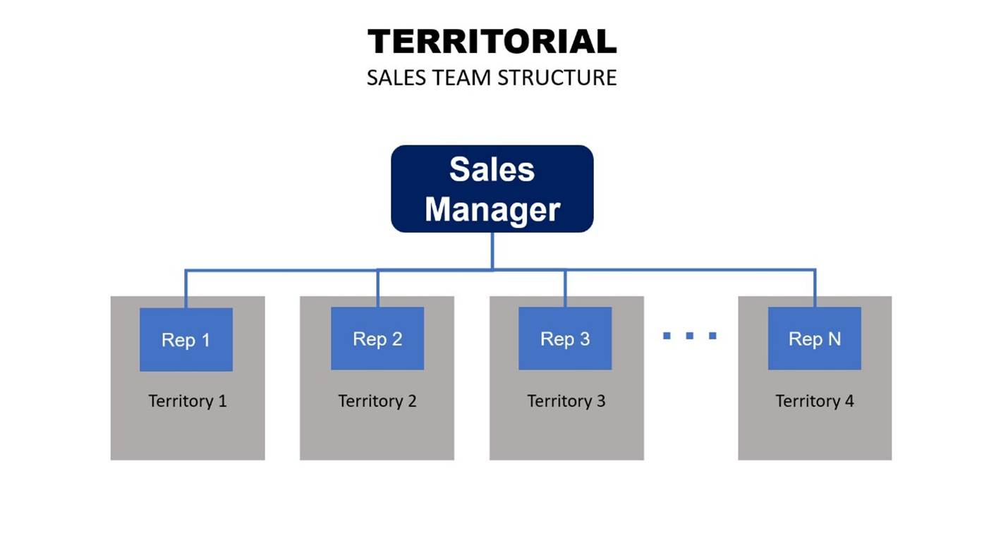 Sales organization structure