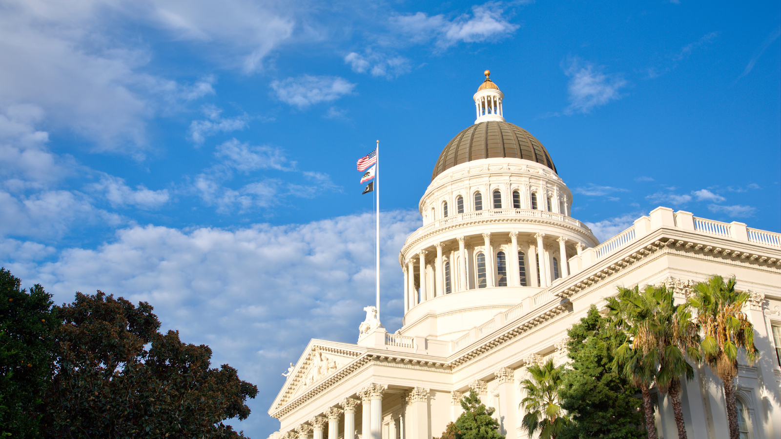 (california state capitol)