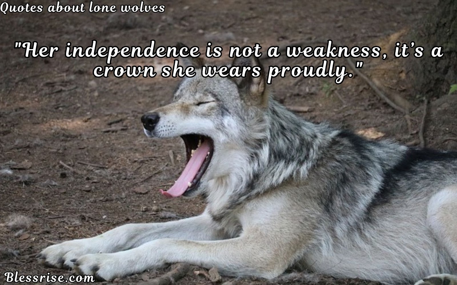 Lone Wolf Quotes
