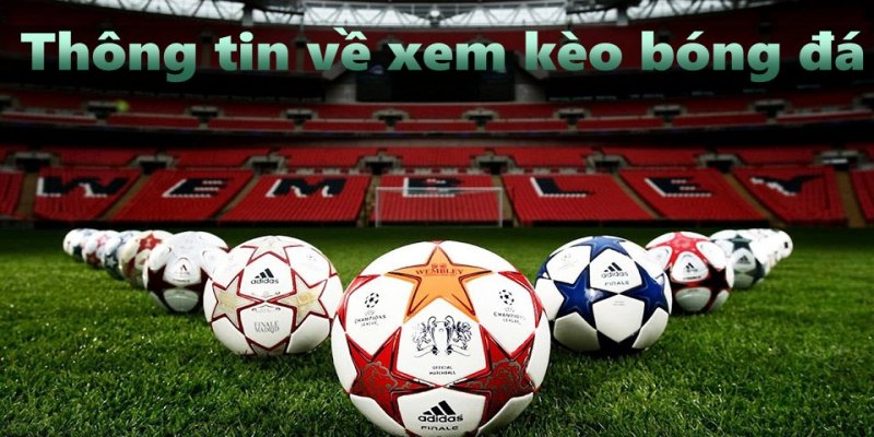 AD_4nXdRzGnvYK9CjSJJoERfB6PH-jFxRpuByy1LAdUbCkTD0SZra62lb5tElUzeT6iDK5AfKwG1XE7y1N_wzD-K7bp1ovPsh2o3_KLIrDfemGzgkGD0R6LRSXi39LkDlx-ESOp1NFvEKo2t5DmnQ-tBt4c4JPUG?key=tg5gdyzynNeH5mYAgnXzrA