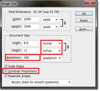 Screenshot of an image size dialog box from photo editing software. The dialog box shows options for adjusting pixel dimensions and document size, with settings for width, height, and resolution. The pixel dimensions are set to 2550 by 3300 pixels, and the document size is 8.5 by 11 inches at 300 pixels per inch. Options for ‘Constrain Proportions’ and ‘Resample Image’ are checked, with ‘Bicubic (best for smooth gradients)’ selected for resampling.