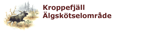 kroppefj