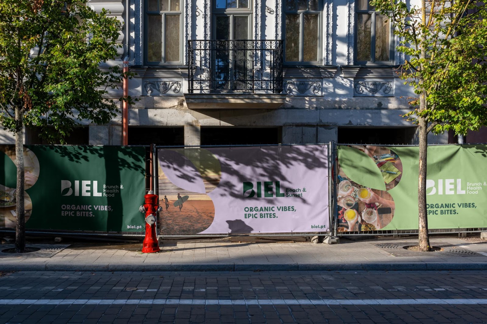 Image from the BIEL: Crafting Cohesive Branding and Visual Identity for Two Worlds article on Abduzeedo