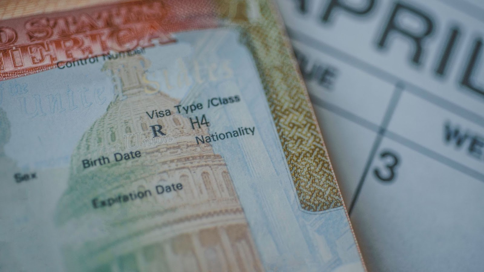 Immigration and Non-Immigration Visas: