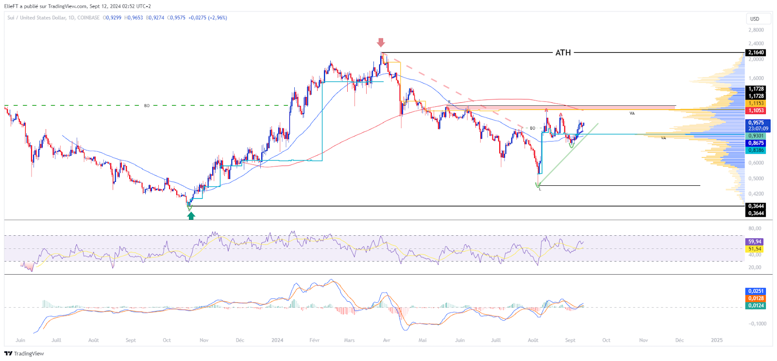 Graphique de prix SUI/USD en journalier