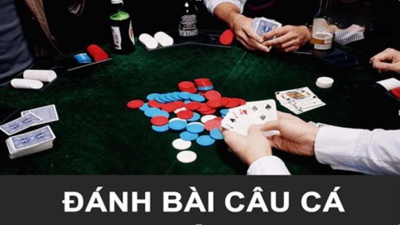 Đánh bài câu cá đang được nhiều người chơi săn đón