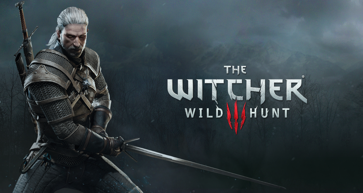 the witcher wild hunt