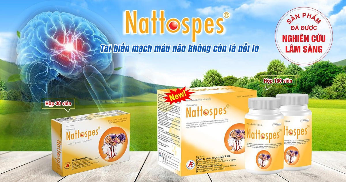 Nattospes chứa nattokinase giúp phòng ngừa đột quỵ