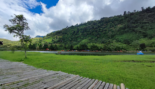 destinasi liburan akhir tahun agrowisata kopi rawa gede