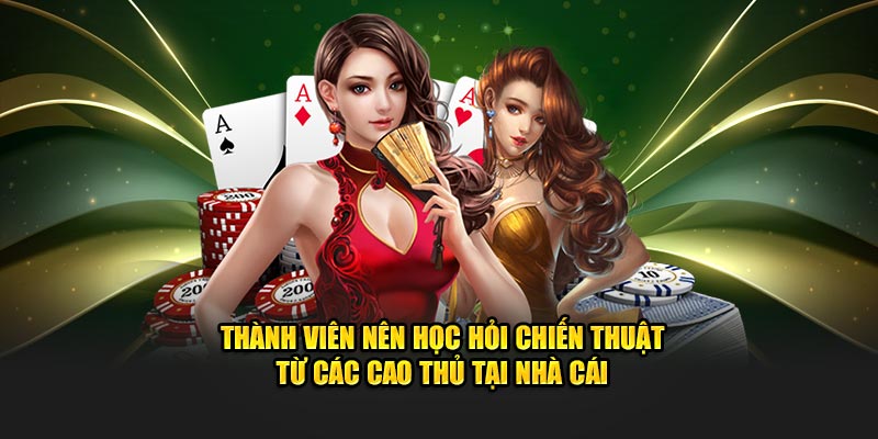 Thành viên nên học hỏi chiến thuật từ các cao thủ tại nhà cái