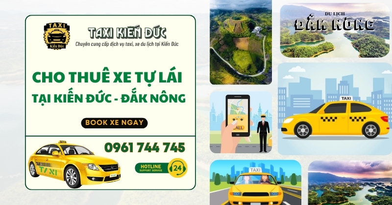 Dịch vụ cho thuê xe tự lái 1