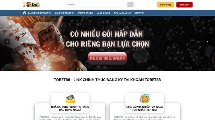 Tobet88 - Điểm nhấn đặc biệt trong sự nghiệp của CEO Trương Thị Cẩm Vân-4