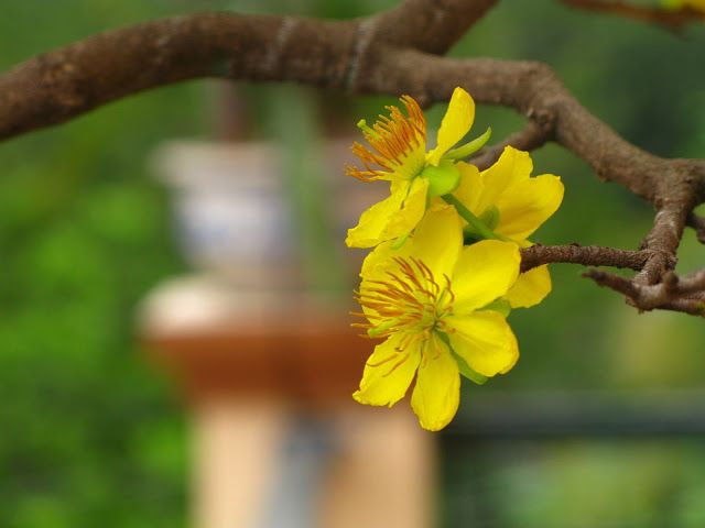 AD_4nXdSdjuBPHkKdXTsM111CKrX5mDuI9XB6UOJqOC3eqqo1YlvjaNWyfWmsWQNkBac28UI9l4URfGUW9h7adoSLwe3-2nB59duShZ1J92oJegpfwouAeyYb68Fto3zVQwrVRW5uMeDAg?key=b-KTm0cRCz-cXvyqfSTNba6b