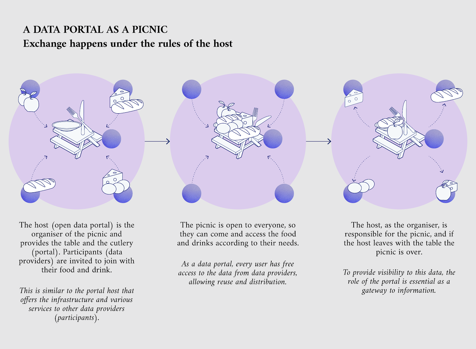 An analogy for data portals as a picnic