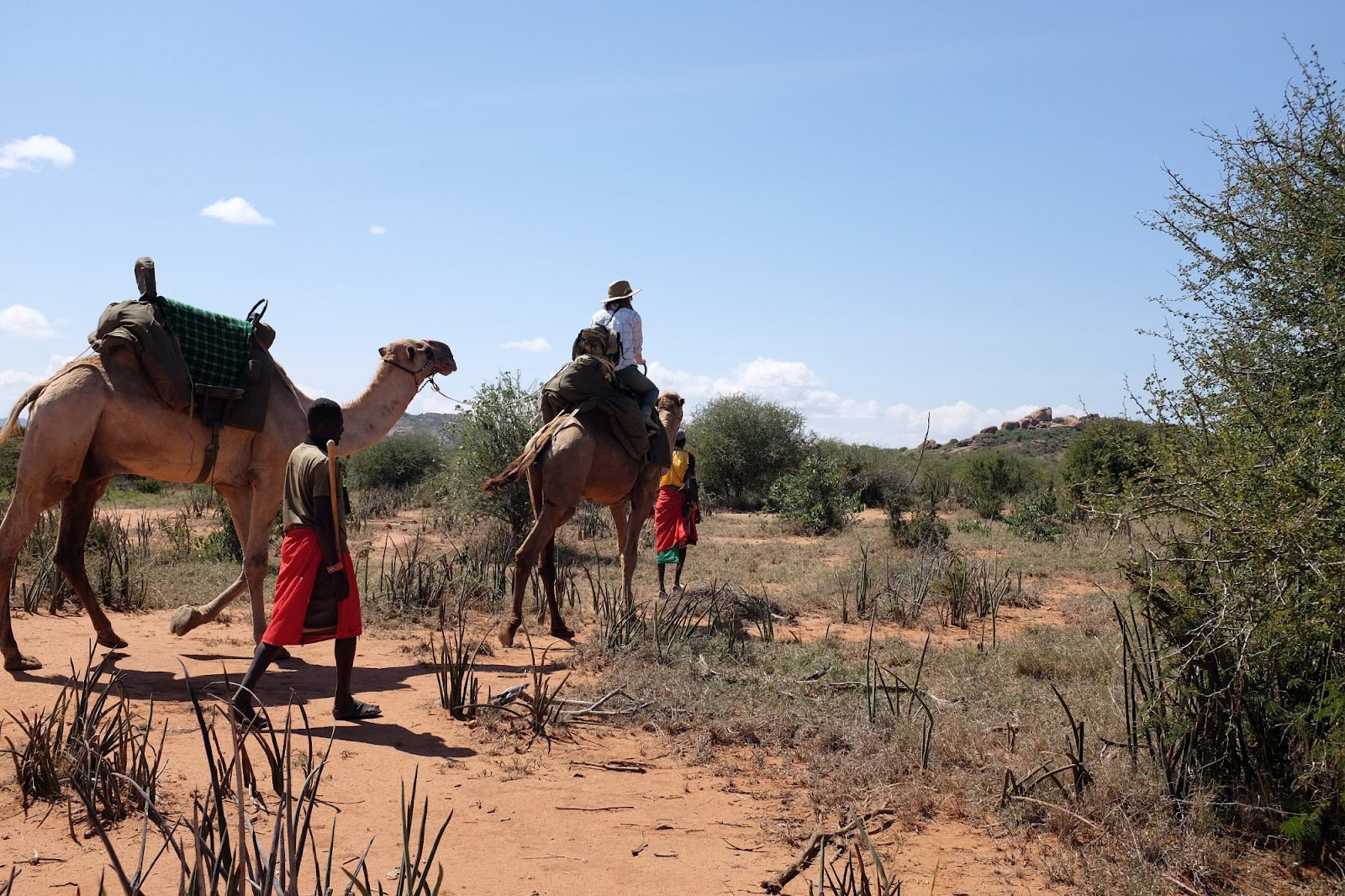 Tourists having a camel ride at Karisia Walking Safaris