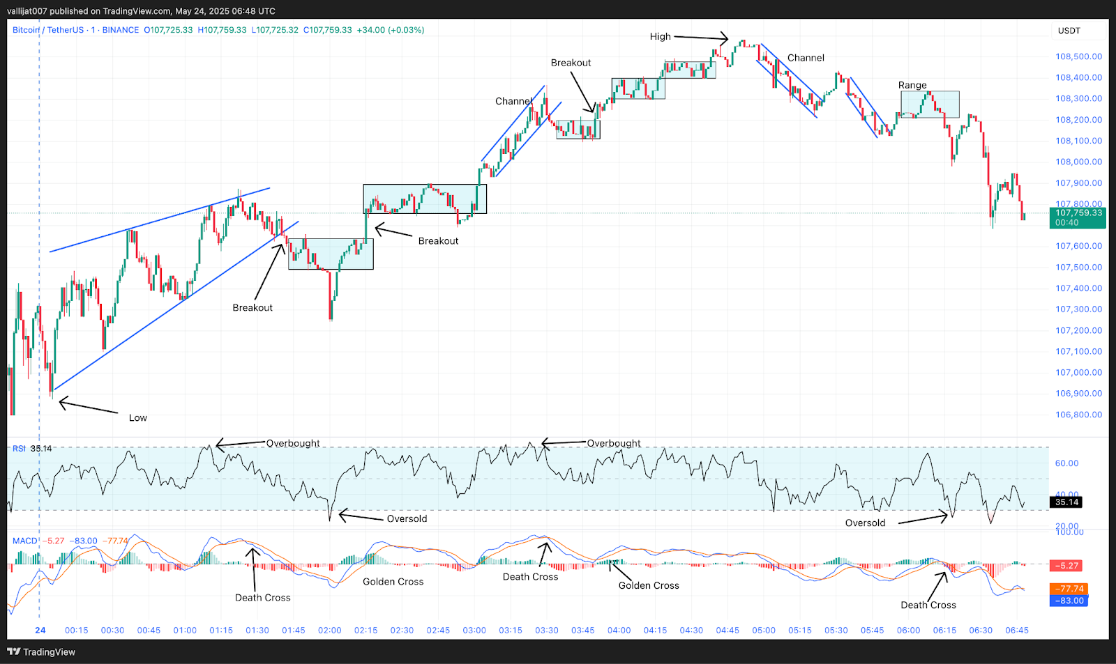 Chart 13: DOGE/USDT M1 Chart, Analysed by vallijat007, published on TradingView, May 24, 2025
Bitcoin price