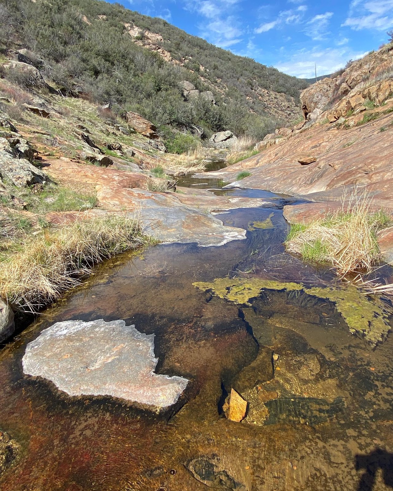 Cuyamaca Rancho State Park Hiking