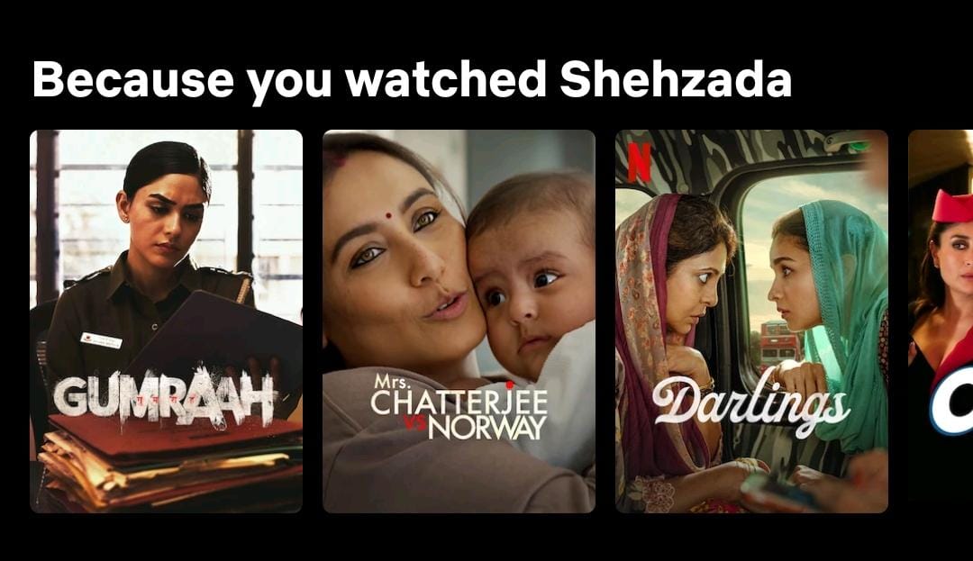 Netflix suggested other movies/series according to the previous watch