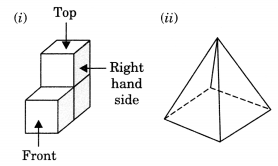 Visualising Solid Shapes Class 7 Extra Questions Maths Chapter 15 Q13