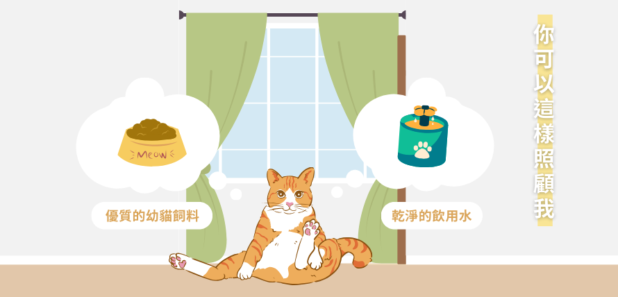 幼貓的飲食安排-芭娜娜毛孩良品