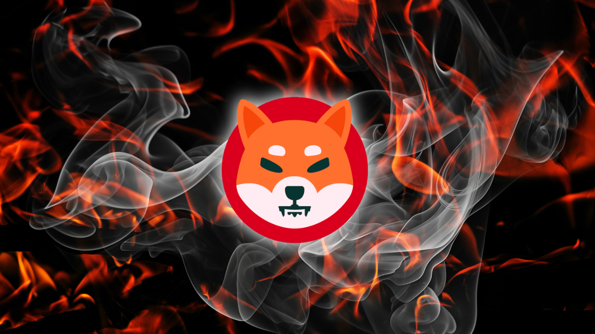 Shiba Inu DeFi Toolkit Sharpens Your Edge for Better Wins