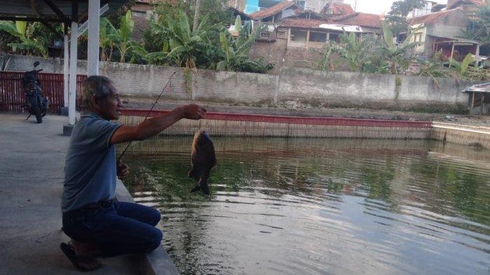 Pemancingan Ikan Beragam: Nikmati Pengalaman Mancing yang Tak Terlupakan