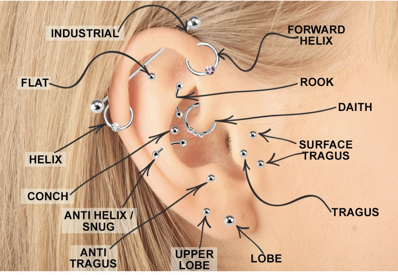ear piercings chart