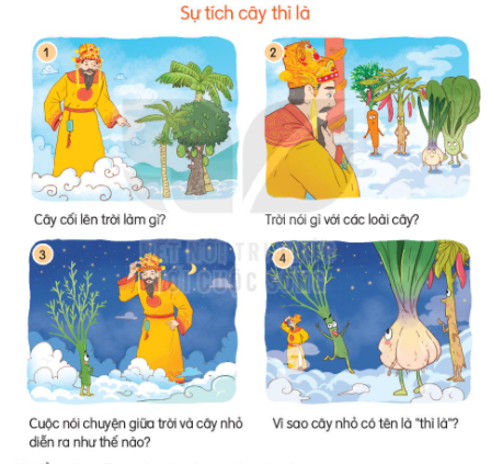  BÀI 11: SỰ TÍCH CÂY THÌ LÀ (4 tiết)TIẾT 4: NÓI VÀ NGHE