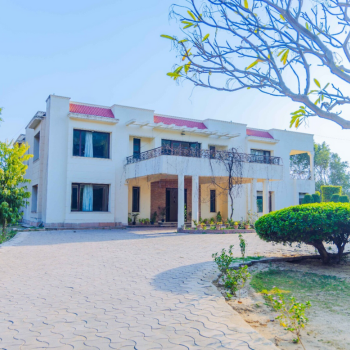 Wedding Venue 
