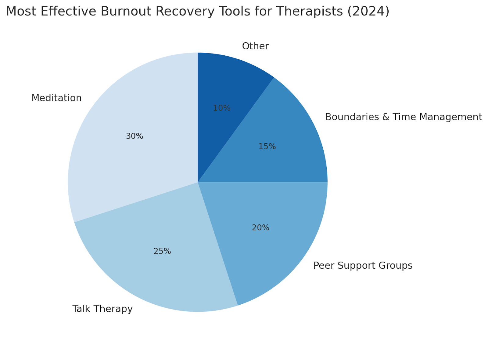 Pie chart showing meditation as top burnout recovery tool for therapists in 2024 at 30%.