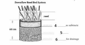 reed-bed-reading-answers