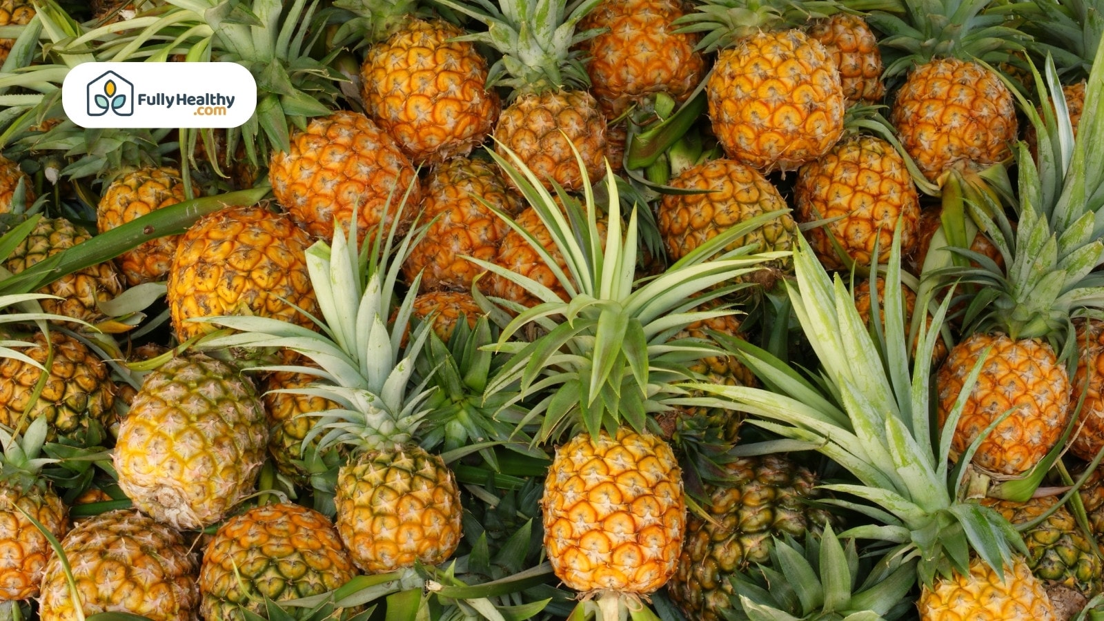 Fresh ripe pineapples piled together with green spiky leaves