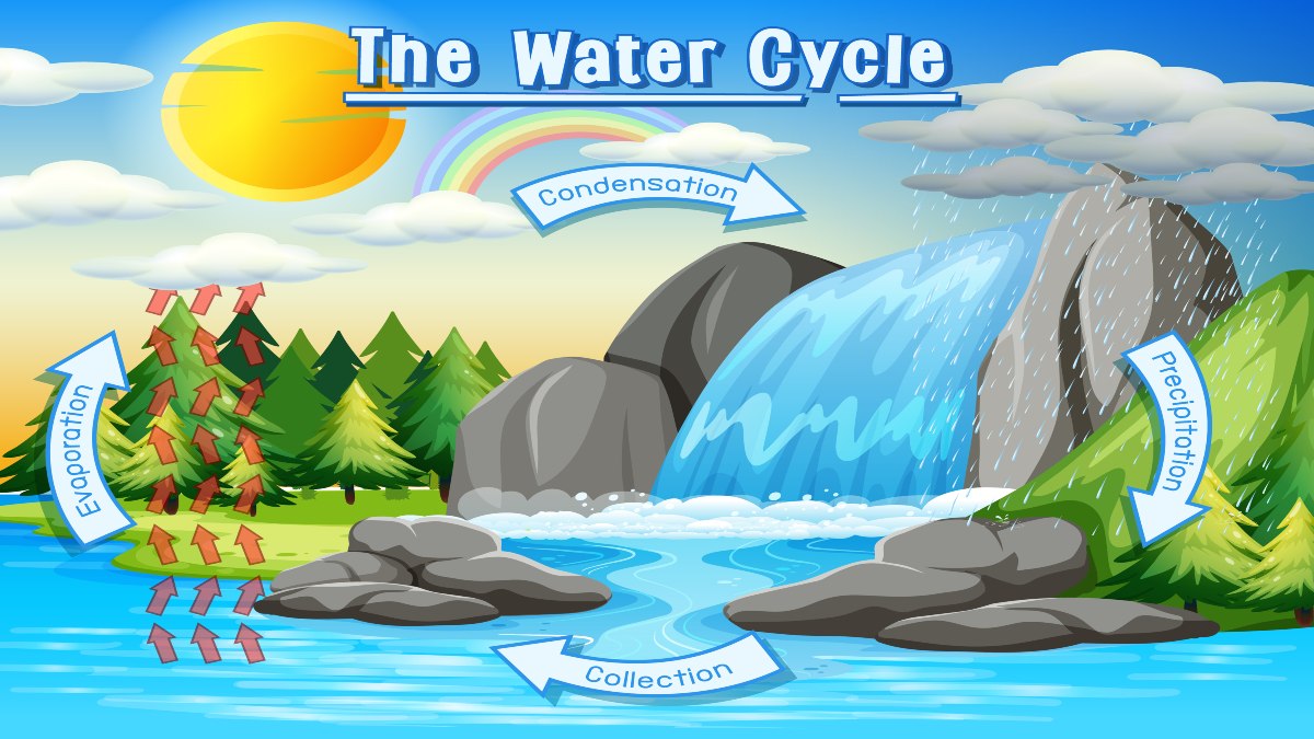 Water Cycle