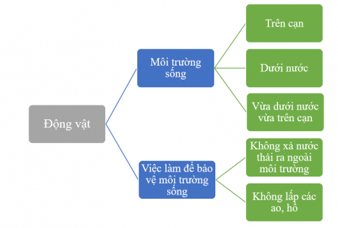 BÀI 20. ÔN TẬP CHỦ ĐỀ THỰC VẬT VÀ ĐỘNG VẬT