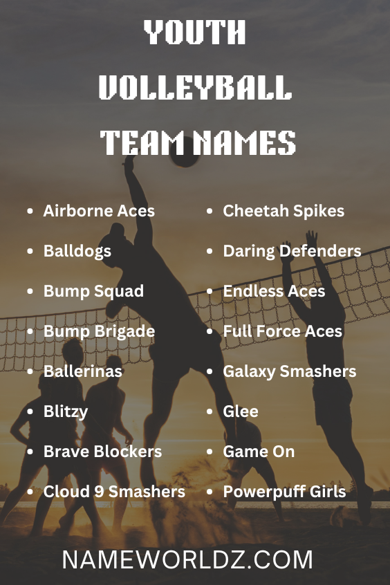 Youth Volleyball Team Names