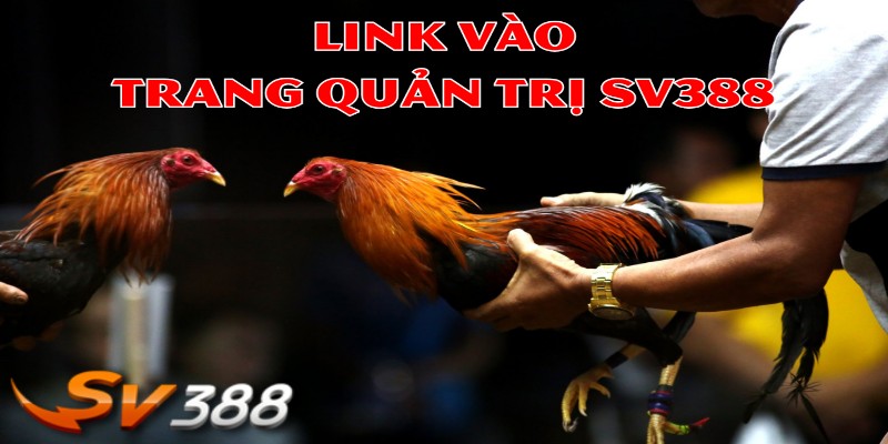 Các thông tin quan trọng về nhà cái Sv88