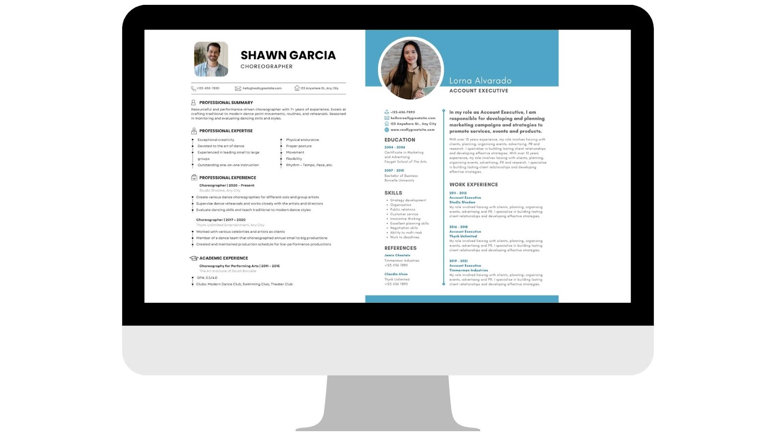 Modern Resume Sample Ideas - downloads and resources
