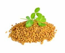 fenugreek seed