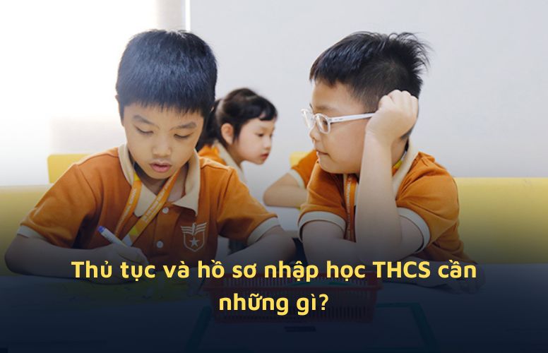 ho-so-nhap-hoc-thcs