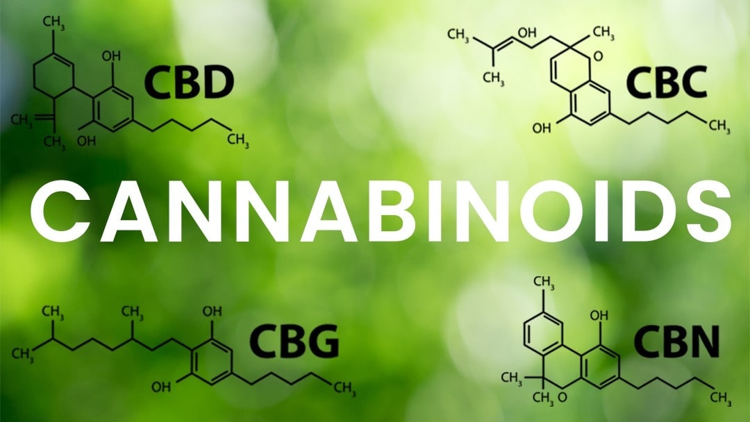 Types of Cannabinoids: Natural and Synthetic