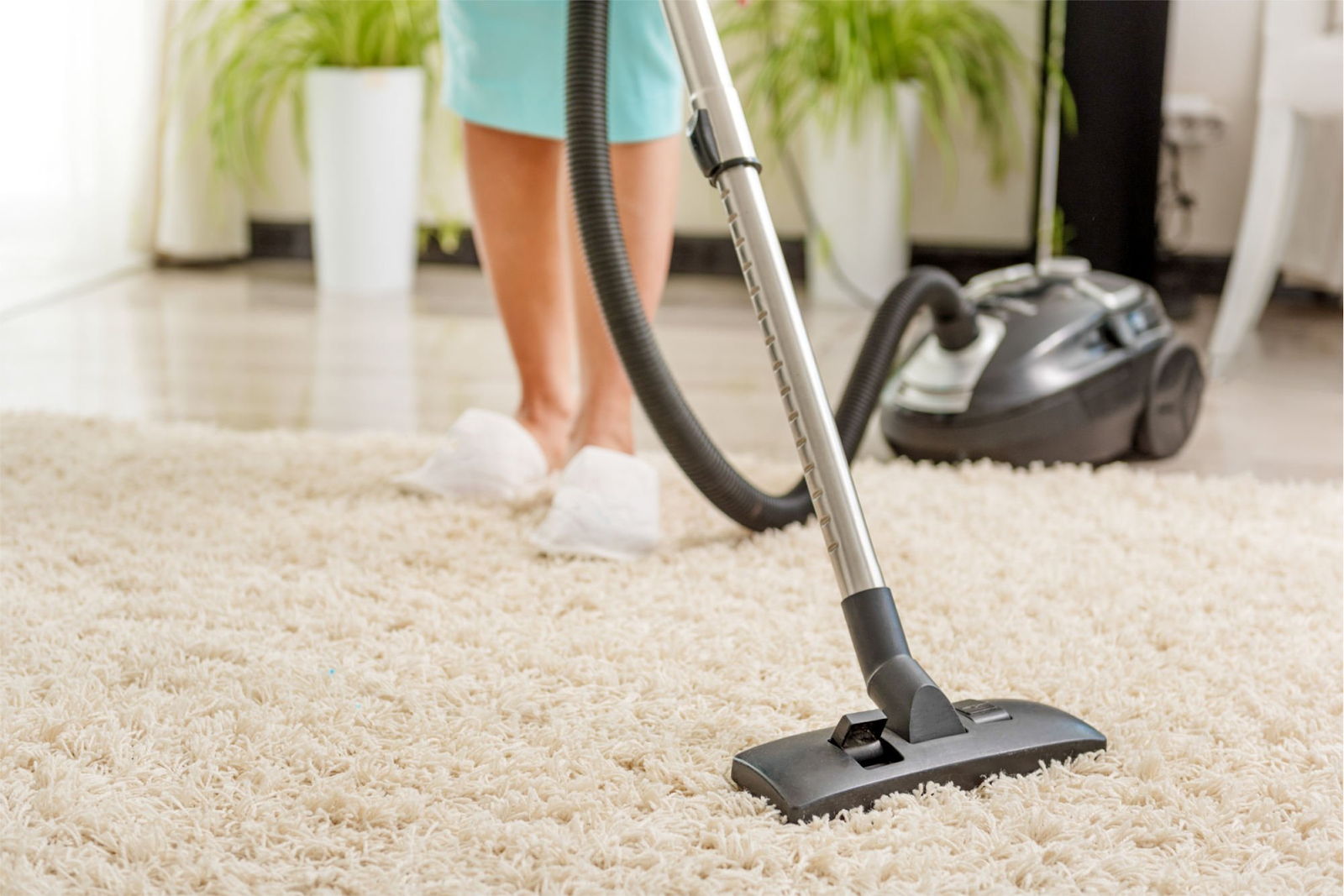 Best Carpet Cleaning Services