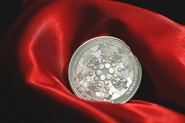 A silver coin on a red cloth Description automatically generated